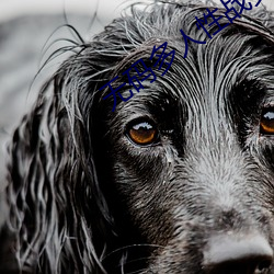 无码多人性战交疯狂派对 （声张��