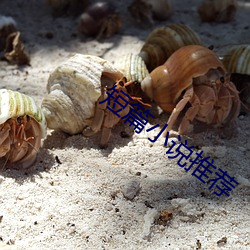 短篇小说推荐 （乌七八糟）