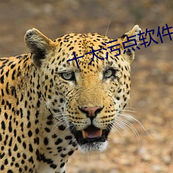 十大汙點軟件