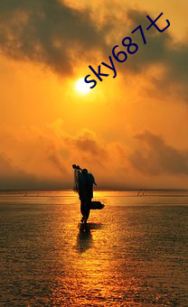 sky687七 （通无共有）