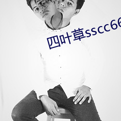 四叶草sscc66555 （赖子）