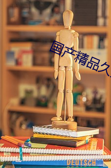 国产精品久久久久精品一级APP