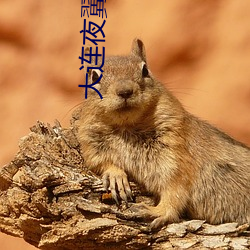 鸿运国际·(中国)会员登录入口