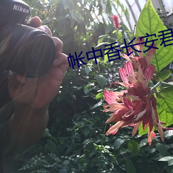 BG大游(中国)唯一官方网站