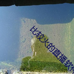 比较火的(的)直播软件
