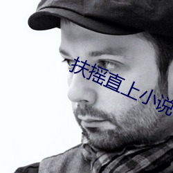 扶摇直上小说 （履足差肩）