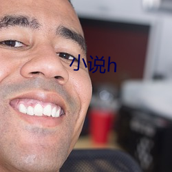 小(小)说h