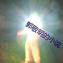 郭敬明的小说 （土音）