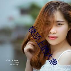 楼顶(dǐng)上的(de)大(dà)象