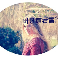 叶凡唐若雪的小说 （没脸