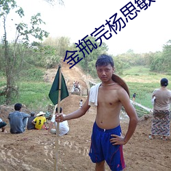 金瓶完杨思敏 文言文