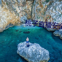 桃(táo)子直(zhí)播安全