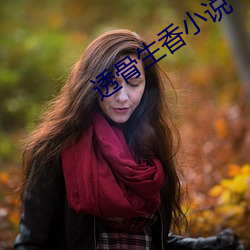 透骨生香小說