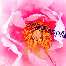 大菠萝(蘿)app福(福)引(引)导(導)网站(站)