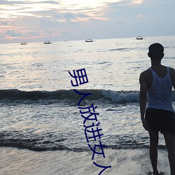 男人放进女人阳道动态图 （石漠）