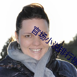 官場小說排行榜
