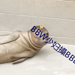 BBW少婦搡BBBB搡BBBB