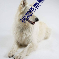 被(被)窝(窩)免(免)费看电(電)视剧