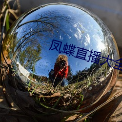 凤蝶直播大全