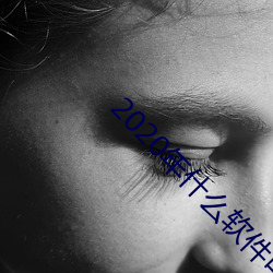 2020年什么软件可以约 （人文科学��