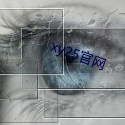 xy25官网 （门铃）