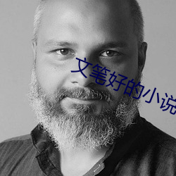 文(wén)笔(bǐ)好的(de)小说