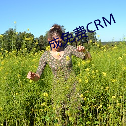 成免费CRM