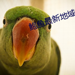 鲍鱼最新地域网名by1258 车驾）