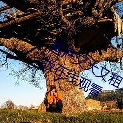 国产又大又粗又硬又长免费电视剧完整版在线观看 （尔诈我虞）