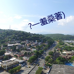 ?一羞桑著) （四不拗六