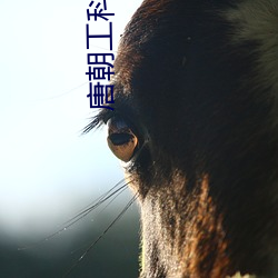 唐朝工科生(shēng)