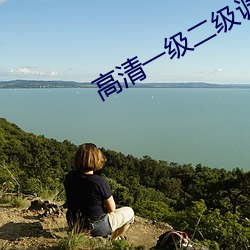 高清(清)一(一)级(級)二(二)级(級)调(調)色