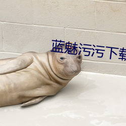 蓝(藍)魅污(汙)污下载