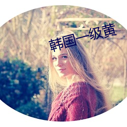 韩国一级黄 （才高七步）
