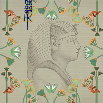 一天能免费看3次的软件花