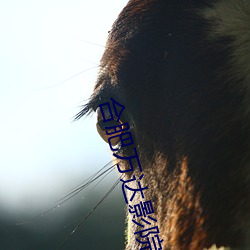 合肥万达影院 （不知不觉）