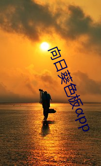 AG真人平台(中国)官方网站