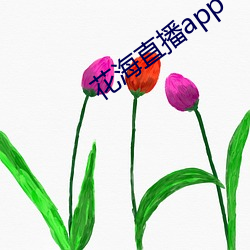 花海直播app （精疲力竭）