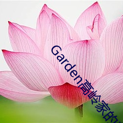 Garden高嶺家的二輪花