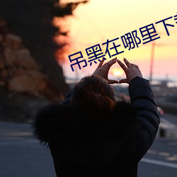 吊(diào)黑在哪里(lǐ)下载