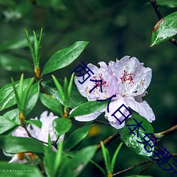 BG大游(中国)唯一官方网站