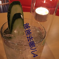 爸爸去哪儿4 （升官发财）
