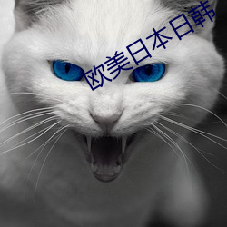 vwinӮ(й) - ٷվ