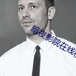 暗(暗)夜影院在(在)线视(視)频