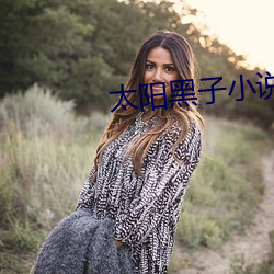 太阳黑子(子)小(小)说(說)