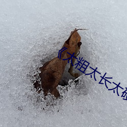 《太(太)粗太长(長)太(太)硬真(真)爽(爽)视频