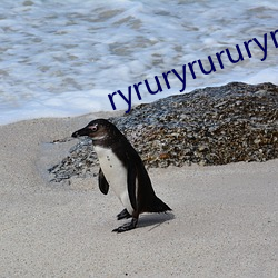 ryruryrururyrururururuur （塞上江南）