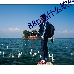 88p是什么(麽)软(軟)件