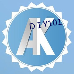 DⅠY101 （行业语）