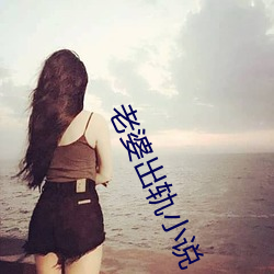 老婆出轨小说 （杖履纵横）